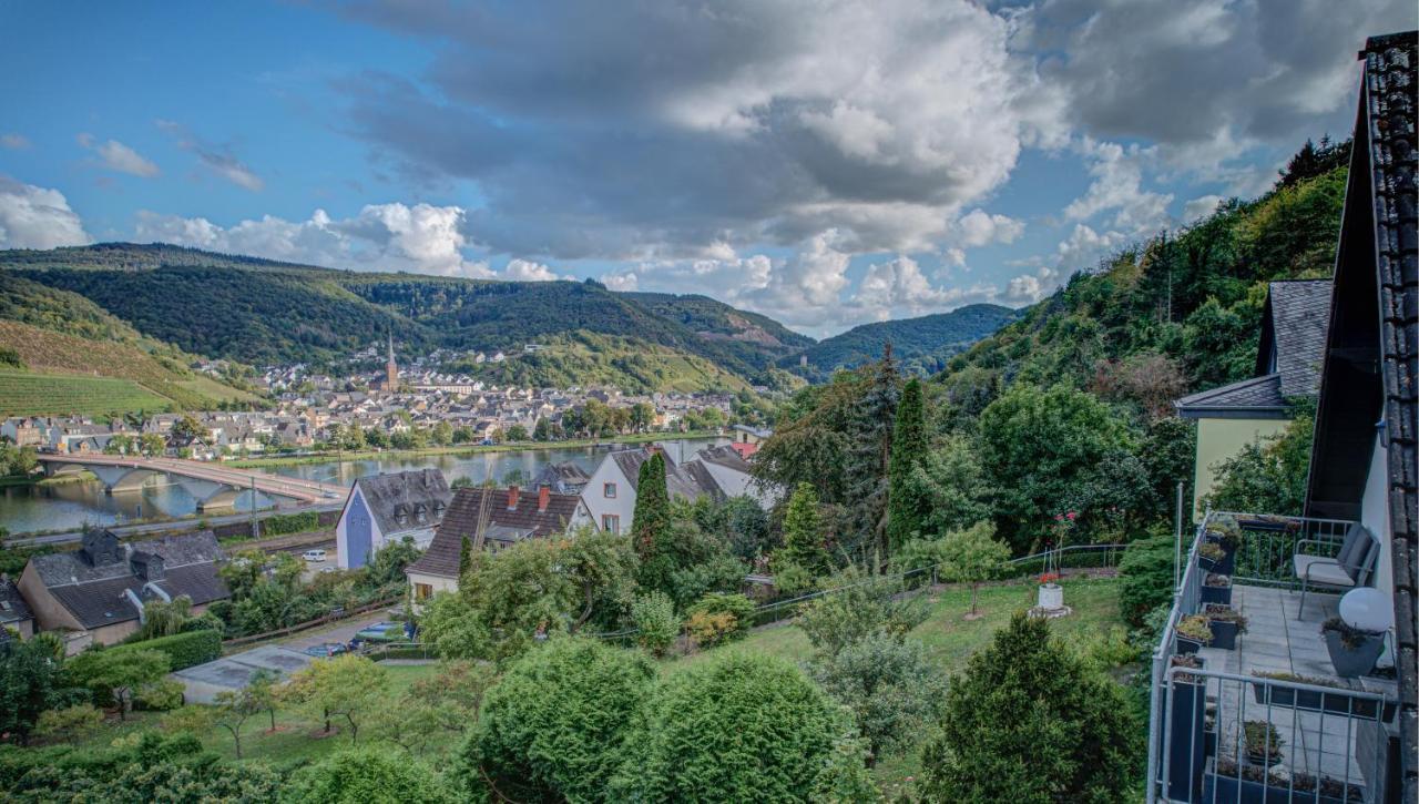 Apartment Panorama Moselblick Treis-Karden