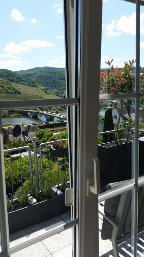 Panorama Moselblick